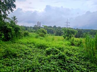 Residential Land for Sale in Pathanamthitta, Thiruvalla, Thiruvalla town