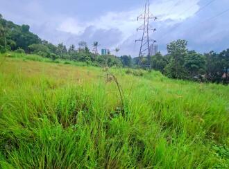 Residential Land for Sale in Pathanamthitta, Thiruvalla, Thiruvalla town