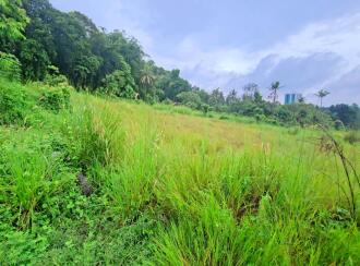 Residential Land for Sale in Pathanamthitta, Thiruvalla, Thiruvalla town