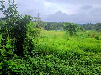 Residential Land for Sale in Pathanamthitta, Thiruvalla, Thiruvalla town