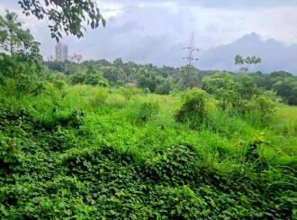 Residential Land for Sale in Pathanamthitta, Thiruvalla, Thiruvalla town