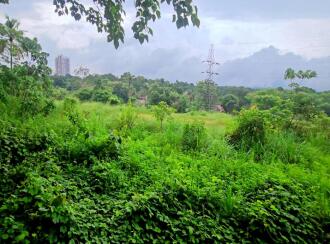 Residential Land for Sale in Pathanamthitta, Thiruvalla, Thiruvalla town