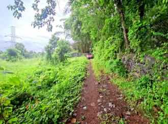 Residential Land for Sale in Pathanamthitta, Thiruvalla, Thiruvalla town