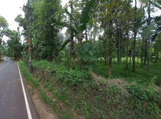 Residential Land for Sale in Kottayam, Kuravilangad, Vayala, Vayala