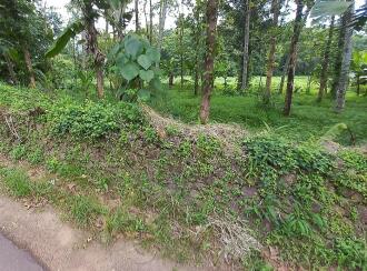 Residential Land for Sale in Kottayam, Kuravilangad, Vayala, Vayala