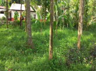 Residential Land for Sale in Kottayam, Kuravilangad, Vayala, Vayala