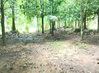 Residential Land for Sale in Thrissur, Amballoor, Kallur, Near Muttithadi Temple Bus stop