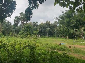 Residential Land for SalePalakkad, Pattambi, Kothachira