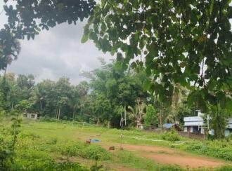 Residential Land for Sale in Palakkad, Pattambi, Kothachira