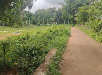 Residential Land for Sale in Palakkad, Pattambi, Kothachira