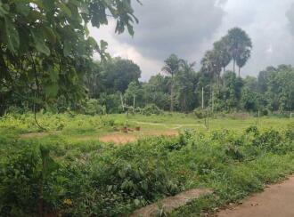 Residential Land for Sale in Palakkad, Pattambi, Kothachira