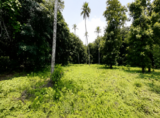Commercial Land for Sale in Ernakulam, Muvattupuzha, Marady