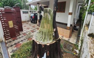 Residential House Villa for Sale in Kottayam, Kottayam town, Mandiram kavala, Kurichy
