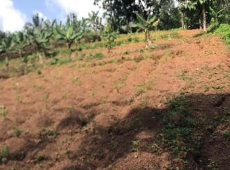 Residential Land for Sale in Kannur, Karuvanchal, Vayattuparamba