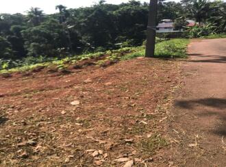 Residential Land for Sale in Kannur, Karuvanchal, Vayattuparamba