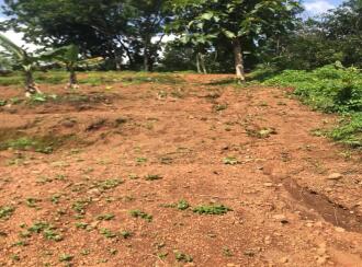 Residential Land for Sale in Kannur, Karuvanchal, Vayattuparamba