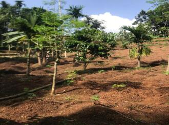 Residential Land for Sale in Kannur, Karuvanchal, Vayattuparamba