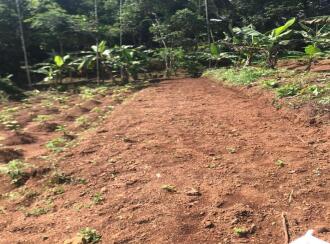 Residential Land for Sale in Kannur, Karuvanchal, Vayattuparamba
