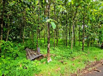 Residential Land for Sale in Ernakulam, Kolenchery, Kolenchery, https://maps.app.goo.gl/KYFmvkk3nV6kznL59