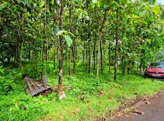 Residential Land for Sale in Ernakulam, Kolenchery, Kolenchery, https://maps.app.goo.gl/KYFmvkk3nV6kznL59