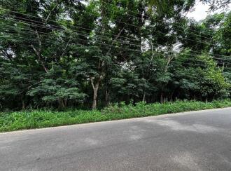 Commercial Land for SalePathanamthitta, Kozhencherry, Kidangannur