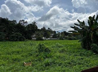 Commercial Land for Sale in Pathanamthitta, Kozhencherry, Kidangannur, Kotta Market, Kozhencherry