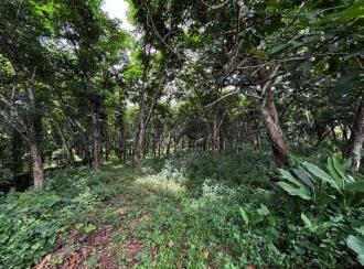 Commercial Land for Sale in Pathanamthitta, Kozhencherry, Kidangannur, Kotta Market, Kozhencherry