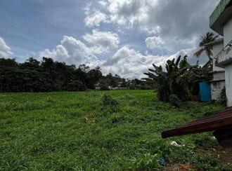 Commercial Land for Sale in Pathanamthitta, Kozhencherry, Kidangannur, Kotta Market, Kozhencherry