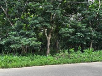 Commercial Land for Sale in Pathanamthitta, Kozhencherry, Kidangannur, Kotta Market, Kozhencherry