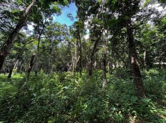 Commercial Land for Sale in Pathanamthitta, Kozhencherry, Kidangannur, Kotta Market, Kozhencherry