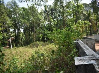 വാസയോഗ്യമായ ഭൂമി വില്പനയ്ക്ക് Pathanamthitta, Thiruvalla, Kizhakkanmuthoor