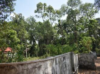 വാസയോഗ്യമായ ഭൂമി വില്പനയ്ക്ക് Pathanamthitta, Thiruvalla, Kizhakkanmuthoor, Bethelpadi