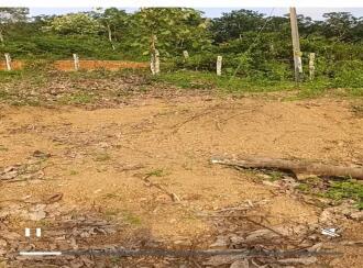 Residential Land for Sale in Pathanamthitta, Kozhencherry, Elakoloor, elanthoor