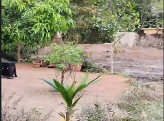 Residential Land for Sale in Kottayam, Vaikom, Vechoor, OUTPOST JUNCTION