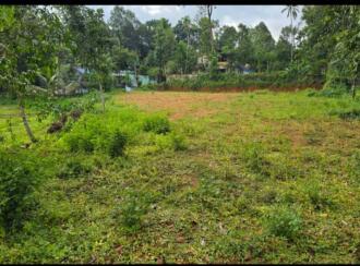 Residential Land for Sale in Pathanamthitta, Adoor, Enadimangalam, Pattazhimukku Junction