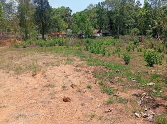 Residential Land for Sale in Pathanamthitta, Adoor, Enadimangalam, Pattazhimukku Junction