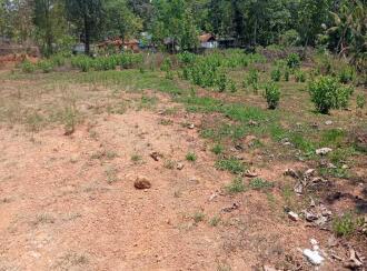 Residential Land for Sale in Pathanamthitta, Adoor, Enadimangalam, Pattazhimukku Junction