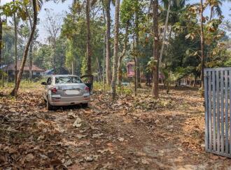Residential Land for Sale in Kollam, Kollam, Kundara, Punnamukku, Kundara-Kottiyam Road