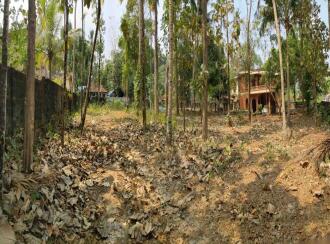 Residential Land for Sale in Kollam, Kollam, Kundara, Punnamukku, Kundara-Kottiyam Road