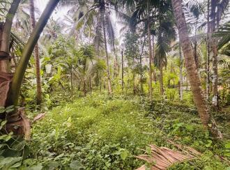 Residential Land for Sale in Kozhikode, Perambra, Meppayoor