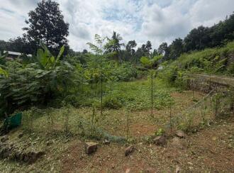 Residential Land for Sale in Pathanamthitta, Mallappally, Chengaroor