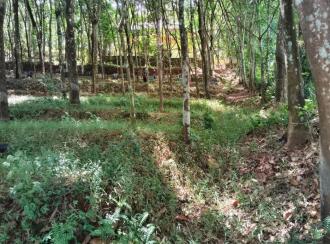 Residential Land for Sale in Pathanamthitta, Adoor, Aickadu, Kodumon Stadium