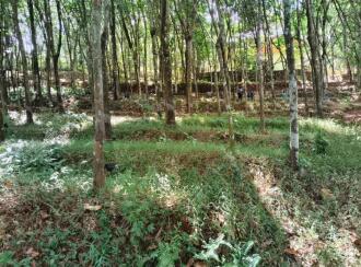 Residential Land for Sale in Pathanamthitta, Adoor, Aickadu, Kodumon Stadium