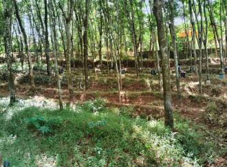 Residential Land for Sale in Pathanamthitta, Adoor, Aickadu, Kodumon Stadium