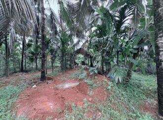 കൃഷി ഭൂമി വില്പനയ്ക്ക് കോട്ടയം, Vaikom, Vechoor