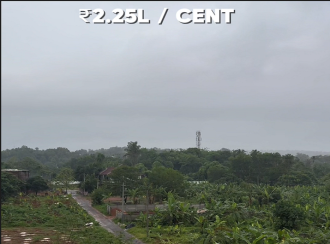 Residential Land for Sale in Ernakulam, Paravur, Puthenvelikkara, MADATHUMPADI