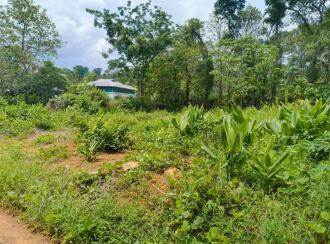 Residential Land for Sale in Kottayam, Pala, Kidangoor, Kidangoor-Koodallor rd
