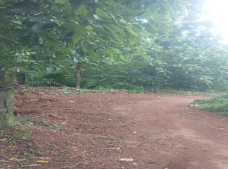 Residential Land for Sale in Thrissur, Thrissur town, Kolazhy, Kottekkad