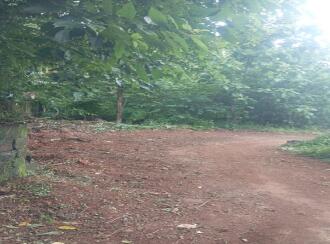 Residential Land for Sale in Thrissur, Thrissur town, Kolazhy, Kottekkad