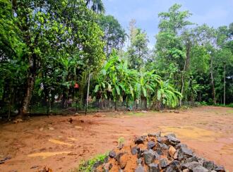 Residential Land for Sale in Pathanamthitta, Kulanada, Karimala, The Pentecostal Mission Church - Kulanada